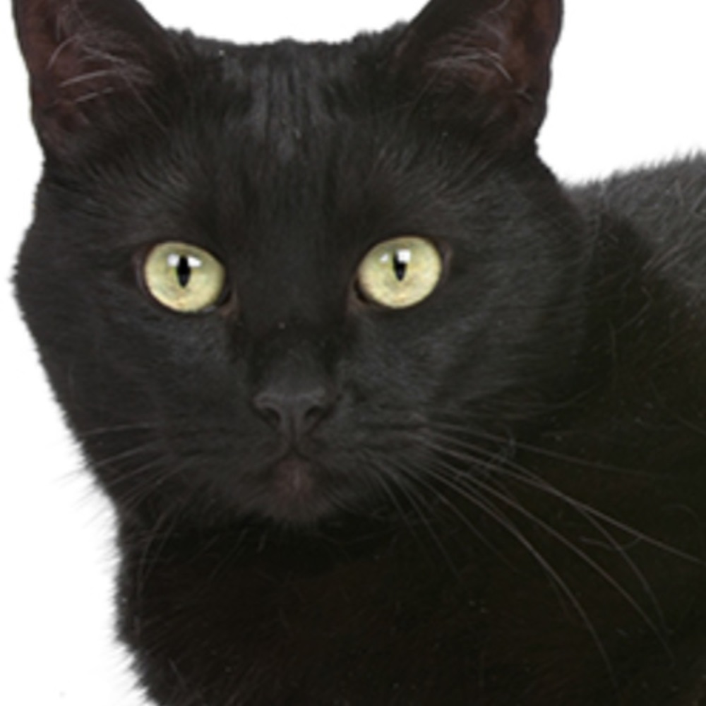 Meet your Posher, Emmanuella